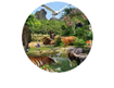 Phnom Tamao – Zoo Logical Park Logo